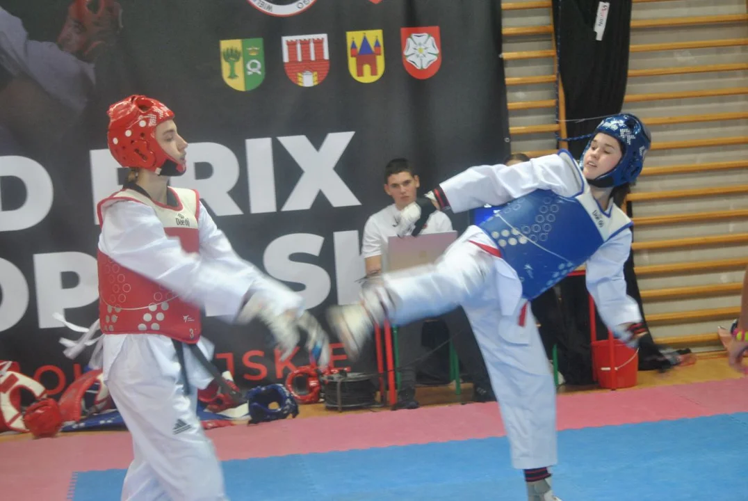 III Turniej Grand Prix Wielkopolski w taekwondo olimpijskim odbył się w Jarocinie - Zdjęcie główne