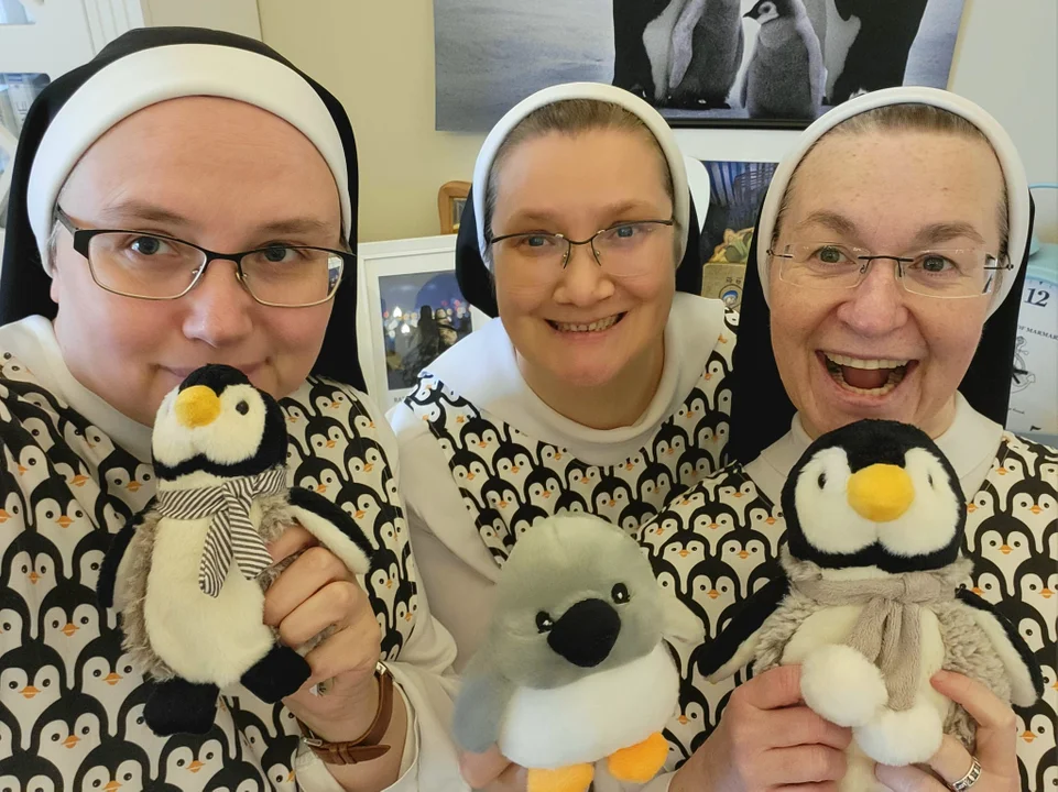 Dominikanki z Broniszewic świętują Światowy Dzień Pingwina [ZDJĘCIA i FILM] - Zdjęcie główne
