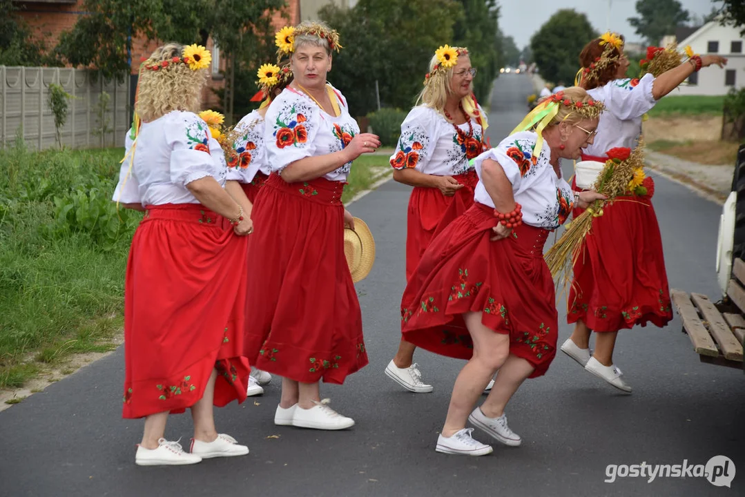 Dożynki w Brzeziu 2023