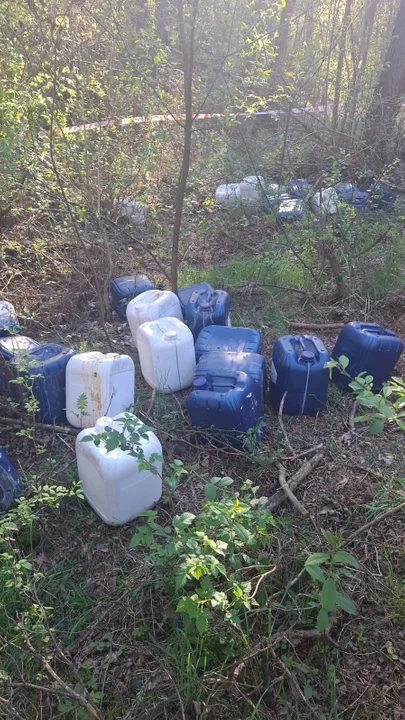 Szybka reakcja służb zapobiegła zagrożeniu ekologicznemu w Nadleśnictwie Babki