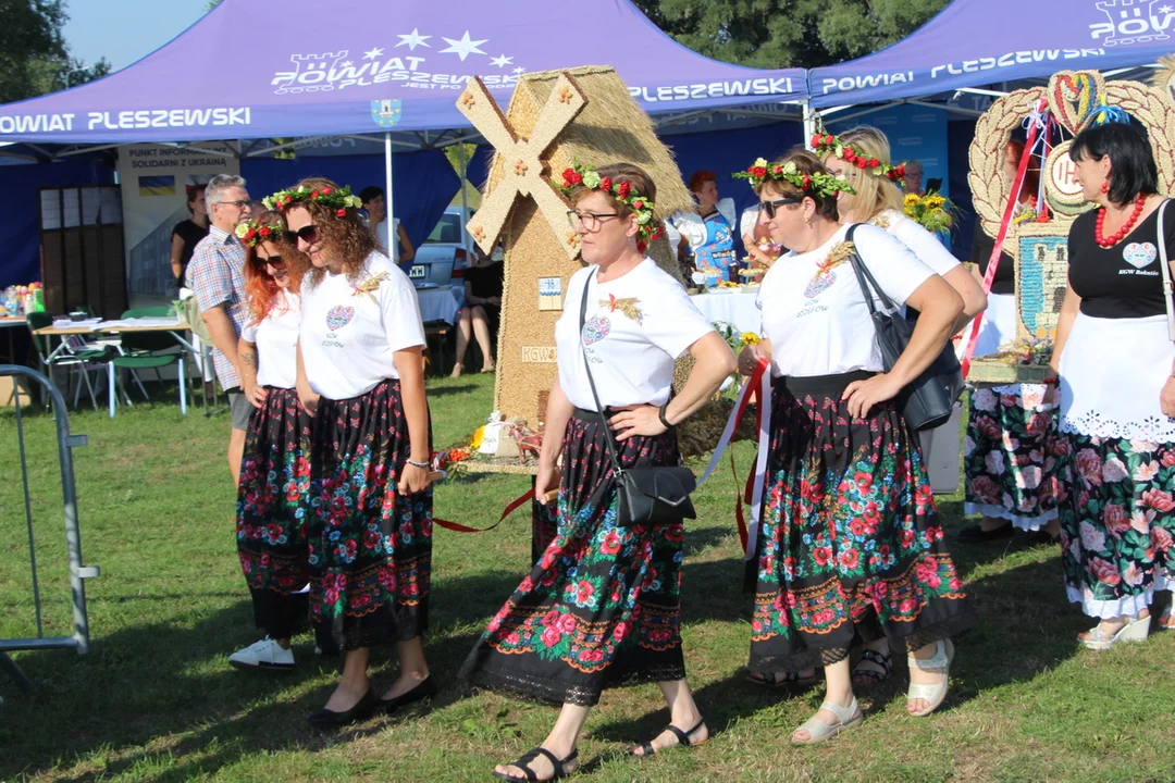 Dożynki Powiatu Pleszewskiego w Gizałkach