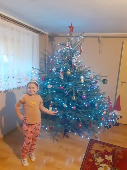 Choinki mieszkańców powiatu krotoszyńskiego