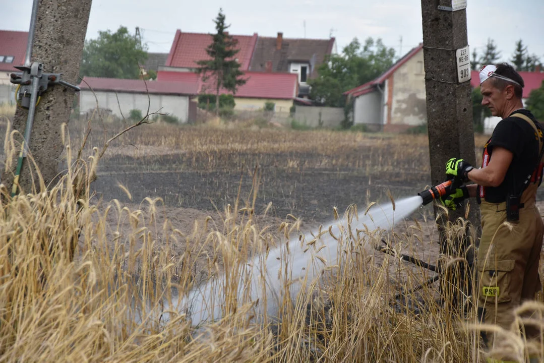 Pożary w czasie żniw w powiecie gostyńskim