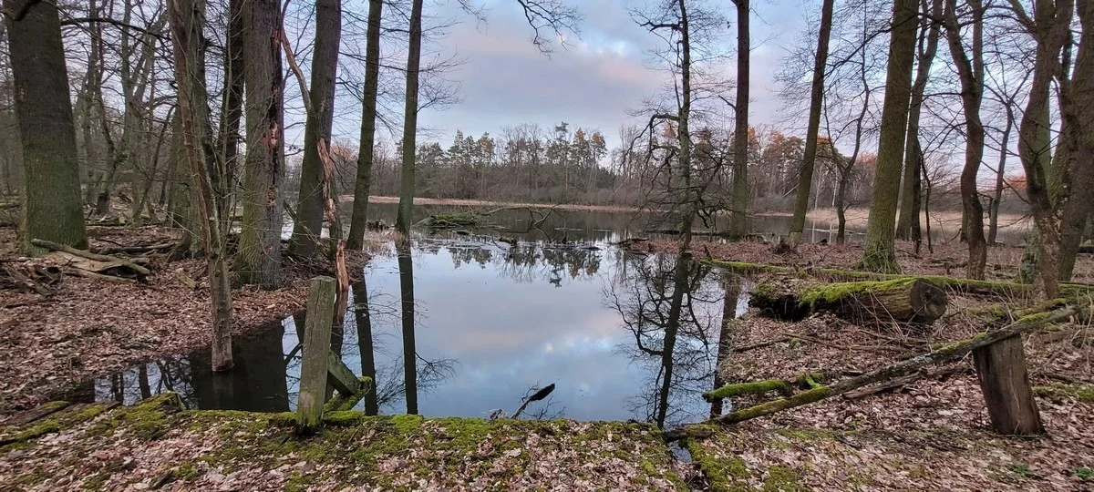 Tereny Żerkowsko-Czeszewskiego Parku Krajobrazowego
