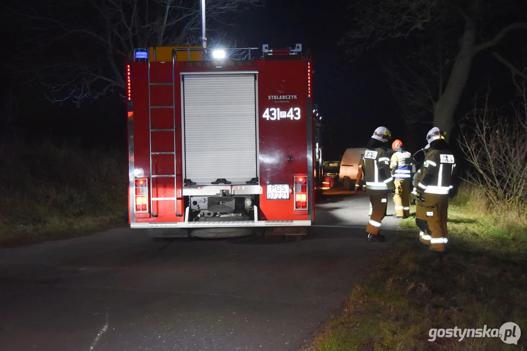 Czołówka z drzewem. Wypadek w Grodzisku (gm. Poniec)