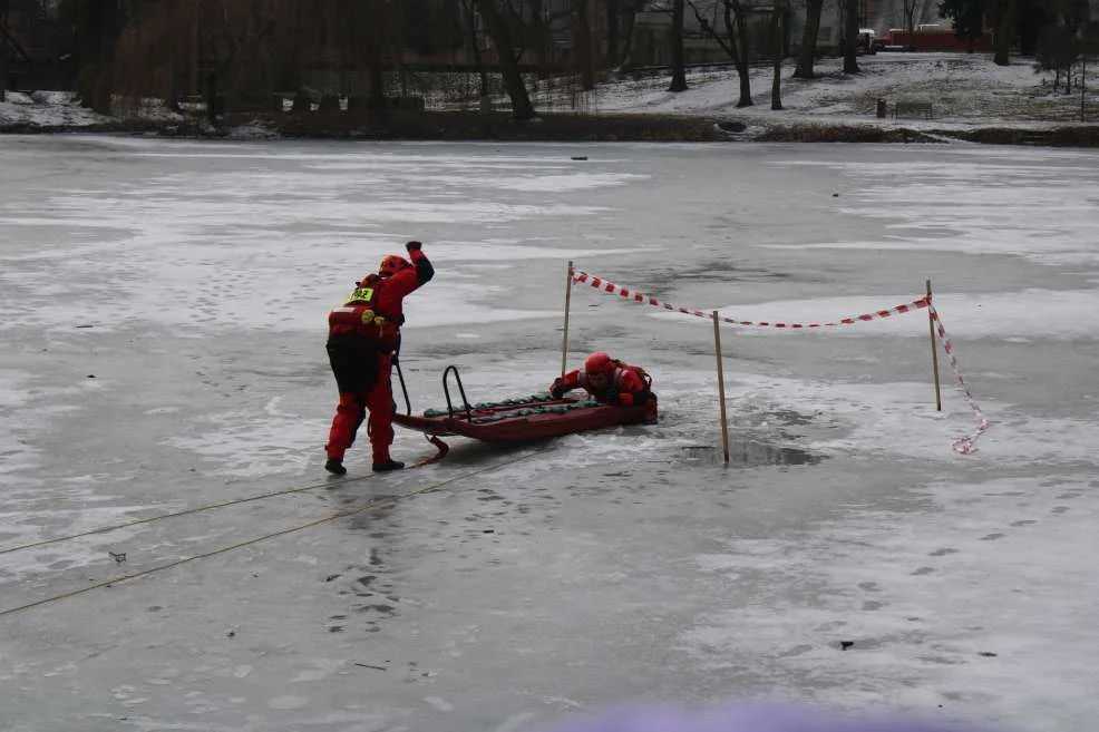 Pokaz na stwie w Jarocinie