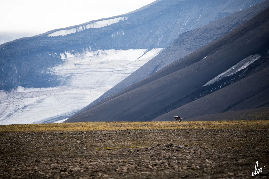 Wyprawa pleszewian na Spitsbergen