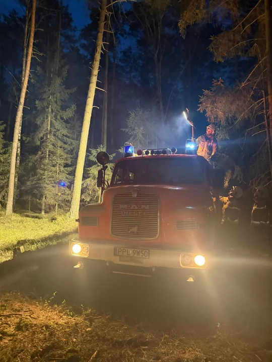 Pleszewscy strażacy pomagali w walce z pożarem lasu w sąsiednim powiecie