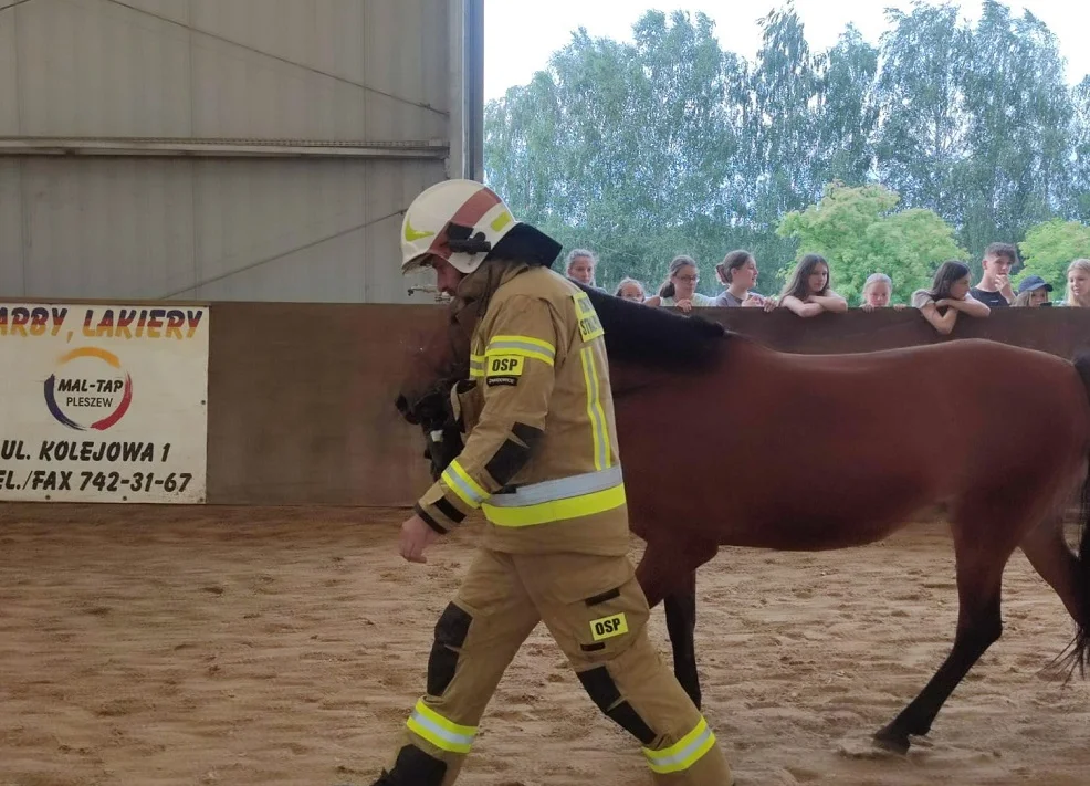 Ratownicy WOPR-u odwiedzili stajnię [FOTO, WIDEO] - Zdjęcie główne