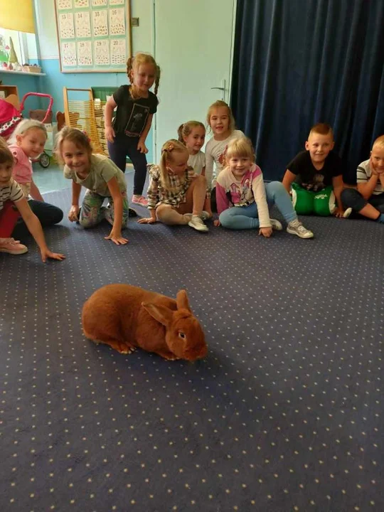 Światowy Dzień Zwierząt w Mieszkowie