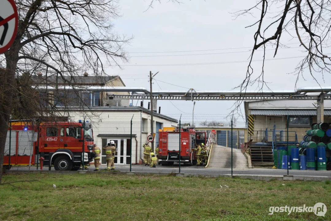 Ćwiczenia zastępów JRG oraz strażaków ochotników w zakładzie przetwórstwa spożywczego Pudliszkach