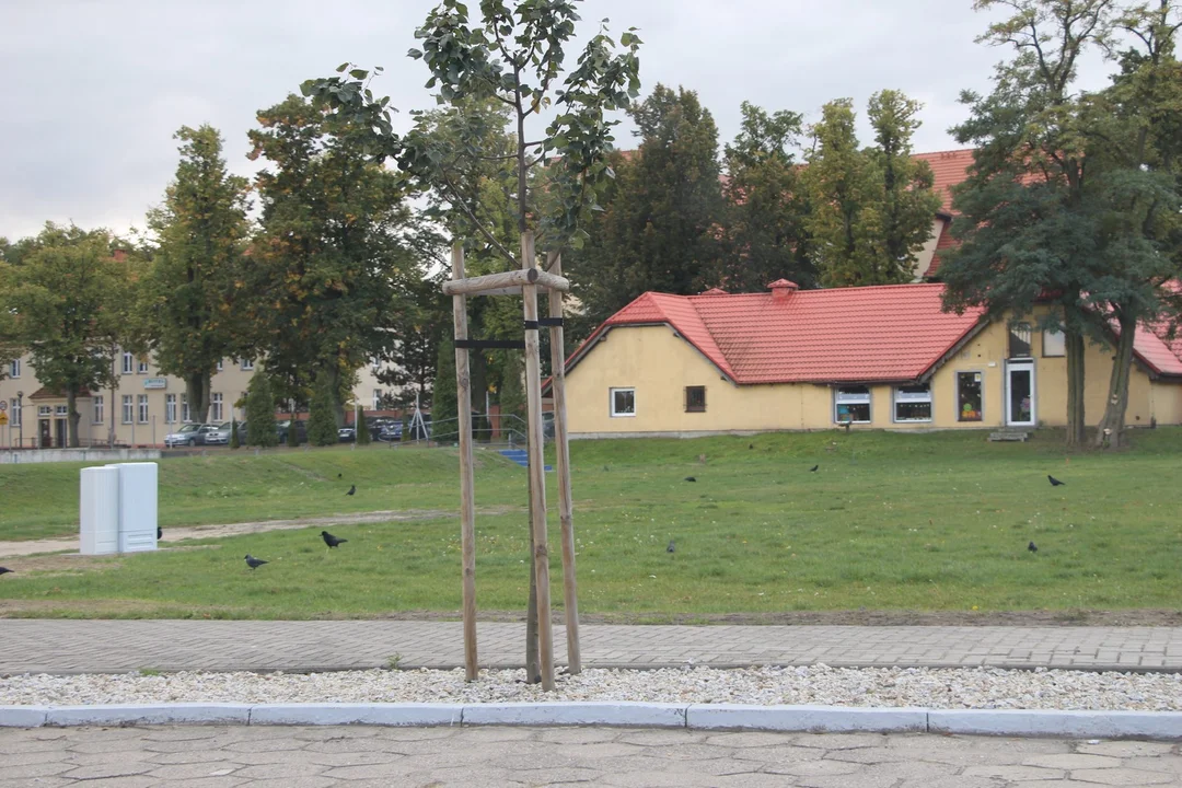 Teren do zagospodarowania na pleszewskim stadionie