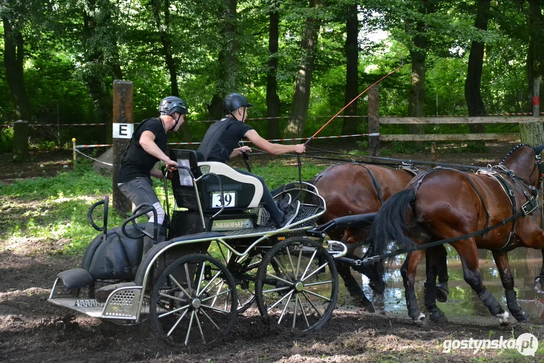 Rokosowo Horse Show 20224 - Konie i Powozy na Zamku Wielkopolskim w Rokosowie