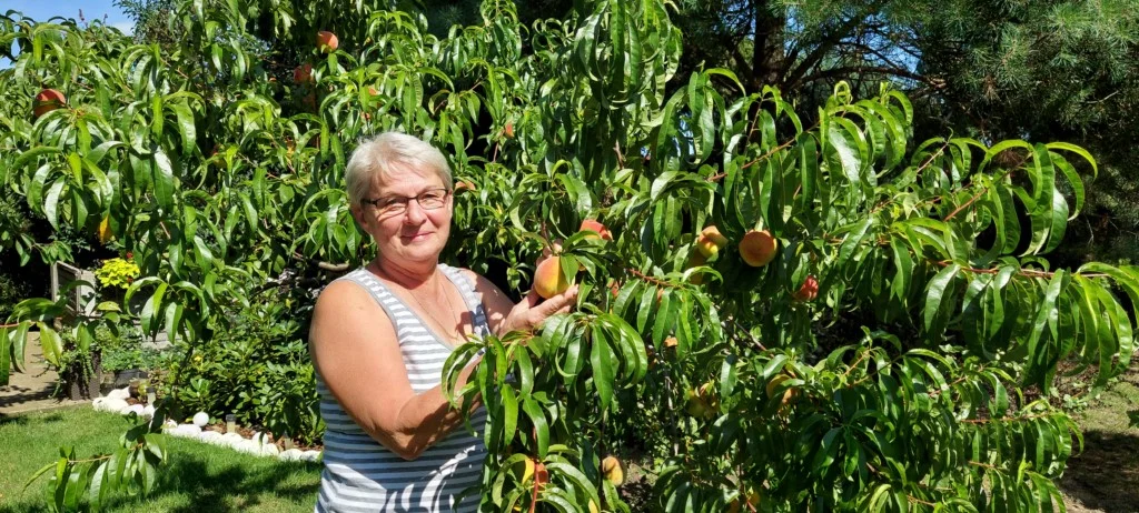 Urszula Strzelczyk z Jarocina, czyli emerytowany pocztowiec w ogrodzie [ZDJĘCIA] - Zdjęcie główne