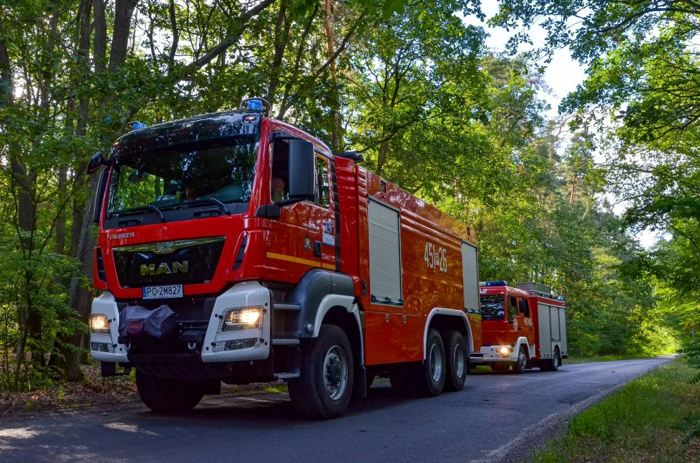 Pożary lasów w gminie Jarocin