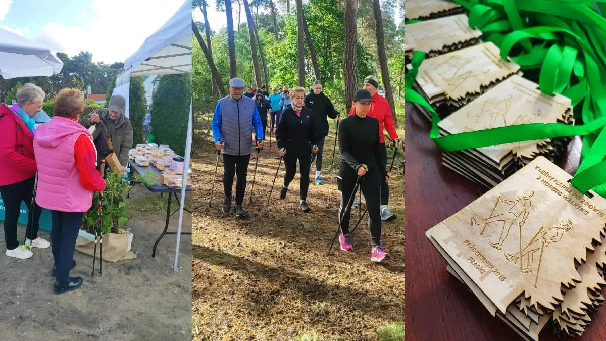Leśna Triada 2025 zakończona marszem nordic walking. To „trio” ponownie połączyło las i ludzi - Zdjęcie główne