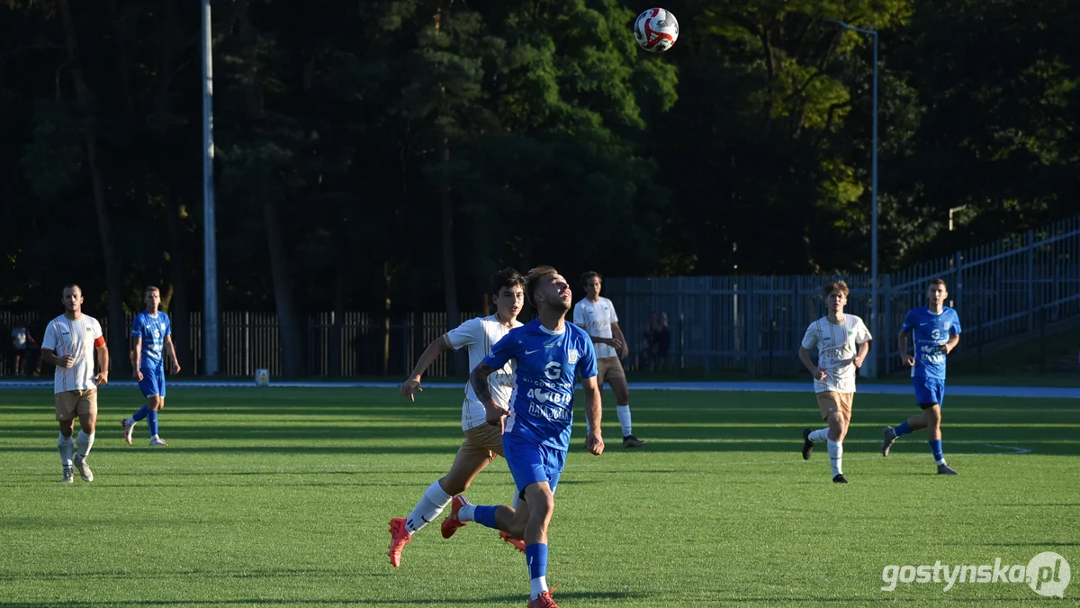 Kania Gostyń - Wisła Borek Wielkopolski 3 : 0