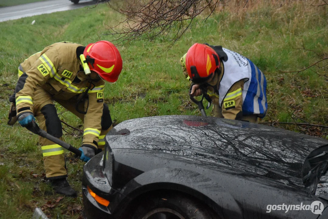 Mustang wpadł do stawu. Straż pożarna z Gostynia w akcji