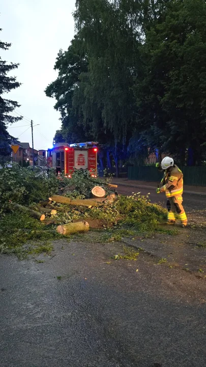 Drzewa tarasowały przejazd w powiecie rawickim