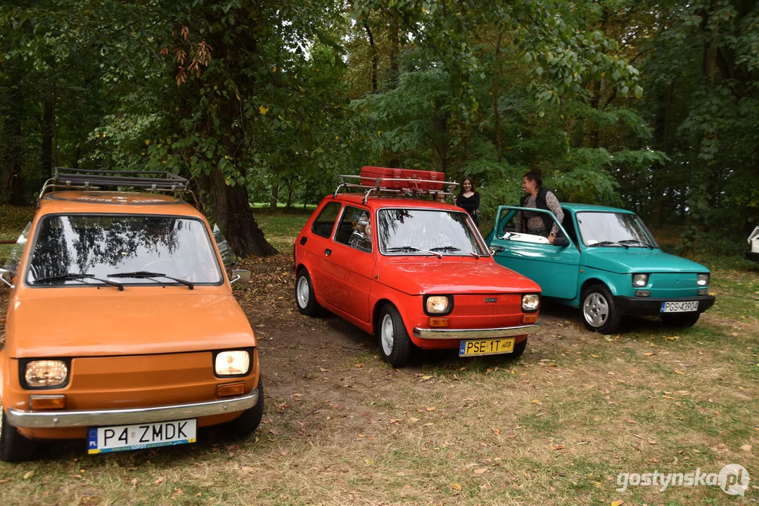 Zlot samochodów retro w Zamku Wielkopolskim w Rokosowie