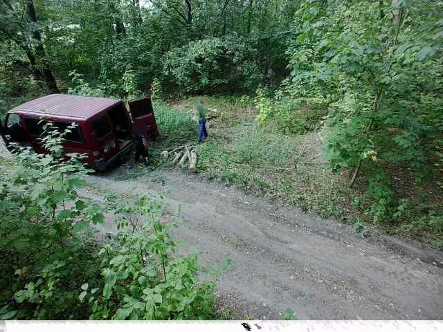 Chcieli ukraść drewno z lasu pod Tarchalinem