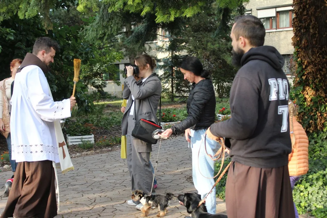 U franciszkanów w Jarocinie z okazji odpustu błogosławiono zwierzęta