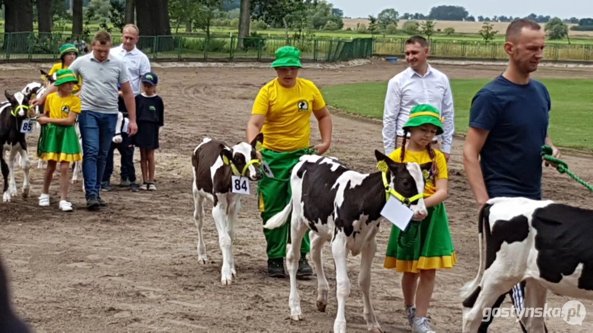 Jubileuszowa, bo XV Regionalna Wystawa Zwierząt Hodowlanych w Pudliszkach