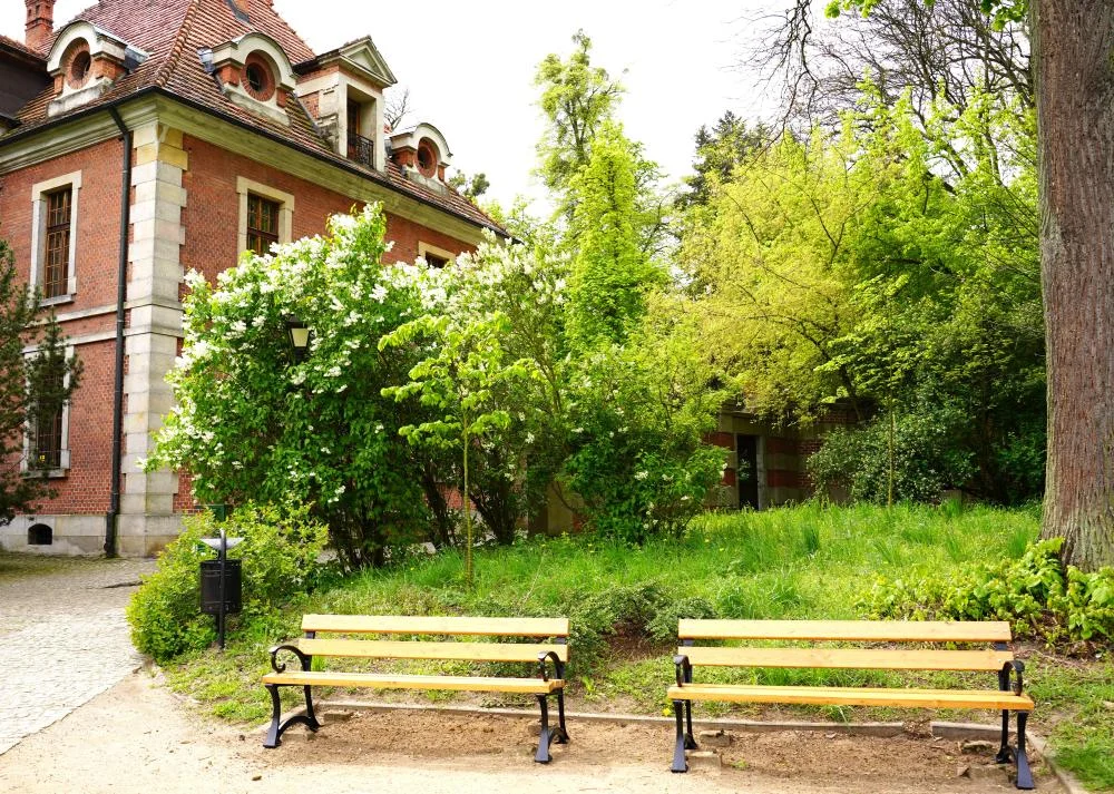 Park w Gołuchowie pięknieje. Zobacz co się zmieniło? - Zdjęcie główne