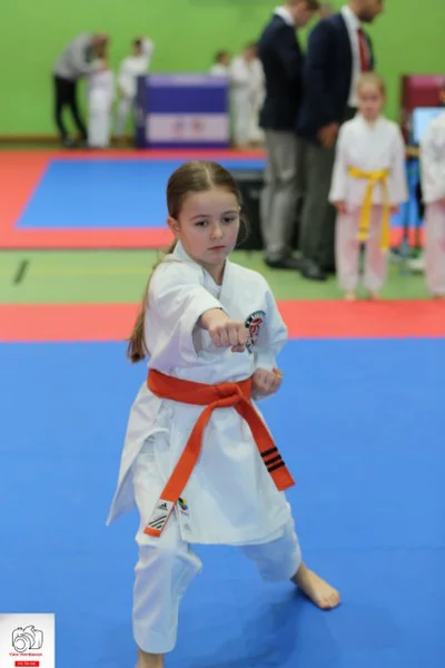 Kobylin. Turniej Karate o Puchar Burmistrza