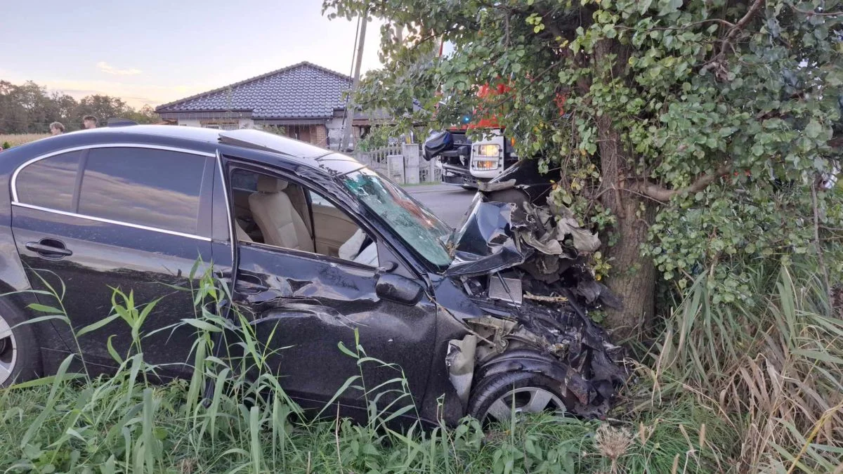 BMW zatrzymało się na drzewie. Nikt nie ucierpiał na szczęście