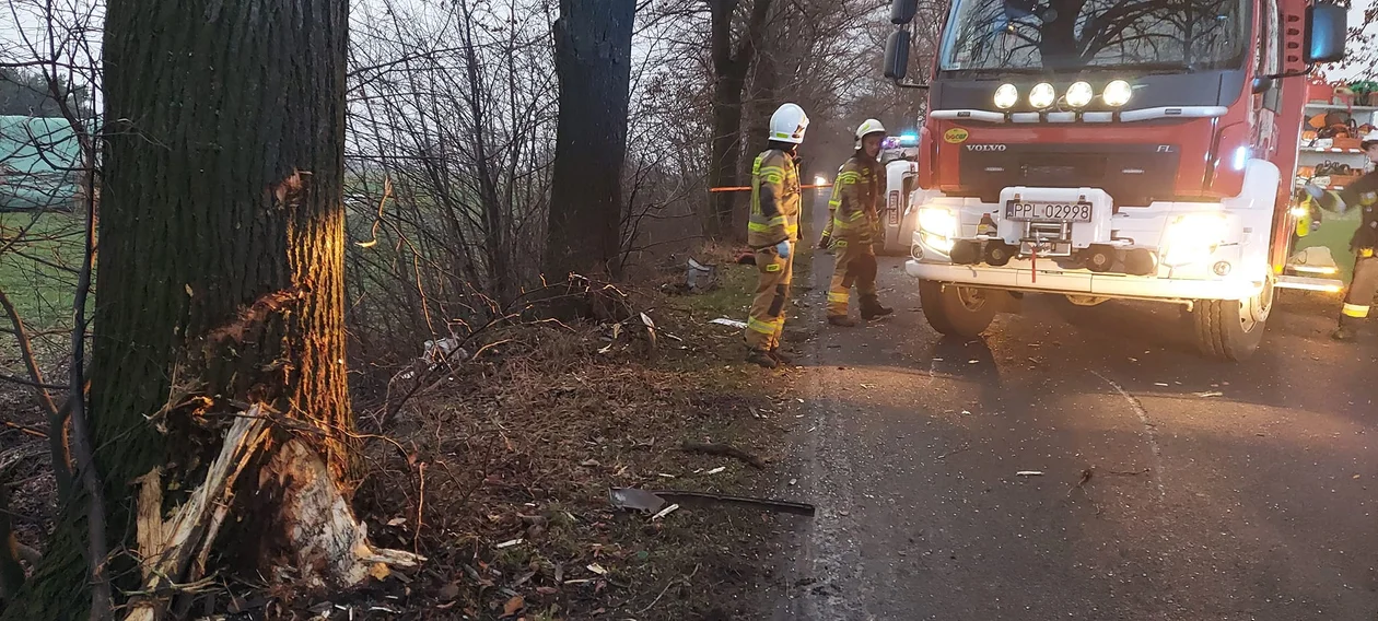 Auto na drodze powiatowej uderzyło w drzewo