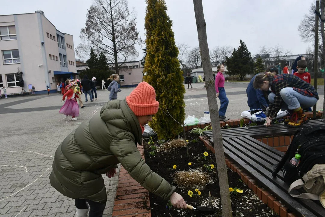 Dzień Wiosny w Szkole Podstawowej nr 3 w Gostyniu