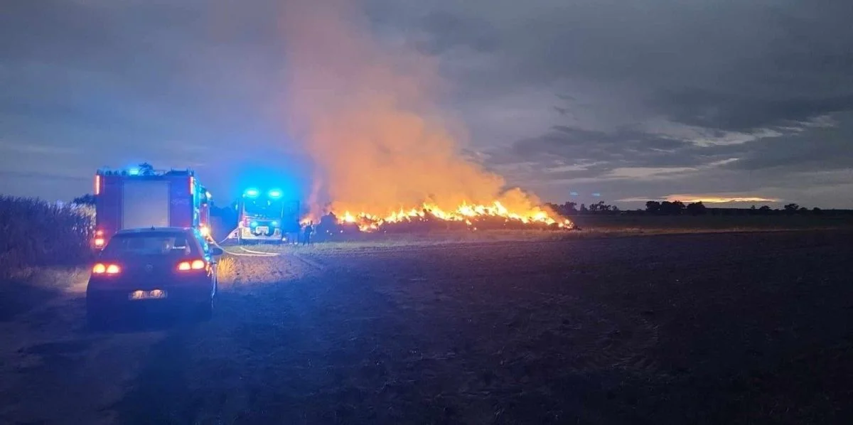 Przez 13 godzin trwało gaszenie pożaru stogów w Żernikach [ZDJĘCIA] - Zdjęcie główne