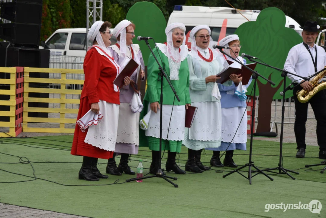 XIX Prezentacje Zespołów Ludowych Wielkopolski - Borek Wlkp. 2024