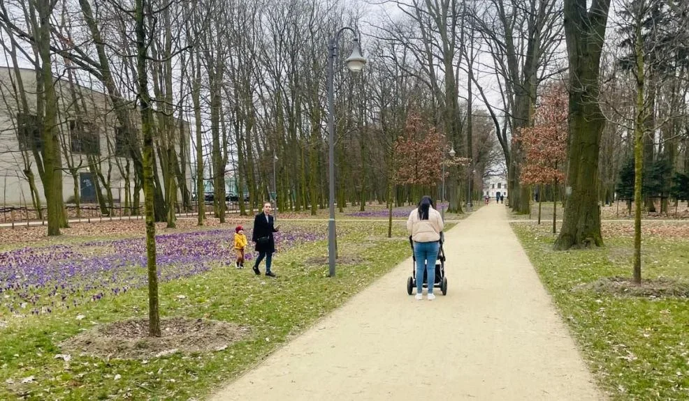 Tłumy w Parku Radlińskich w Jarocinie