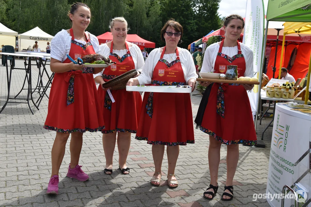 Powiatowa Bitwa Regionów w Ogólnopolskim konkursie kulinarnym dla KGW - Borek Wlkp.