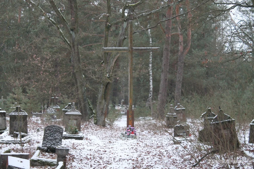 Historia cmentarza ewangelickiego w Orlinie Dużej [ZDJĘCIA] - Zdjęcie główne