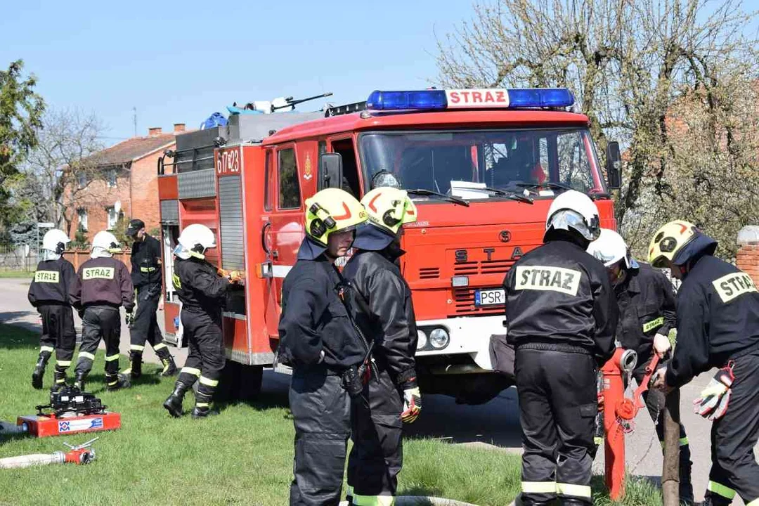 Gasili las w Rogusku. Ćwiczenia Ochotniczych Straży Pożarnych [ZDJĘCIA] - Zdjęcie główne