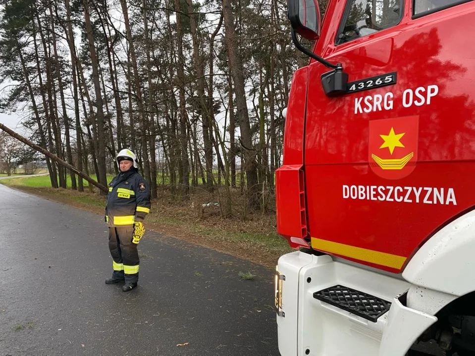 Silny wiatr w Jarocinie i okolicy. Strażacy mieli sporo pracy - Zdjęcie główne