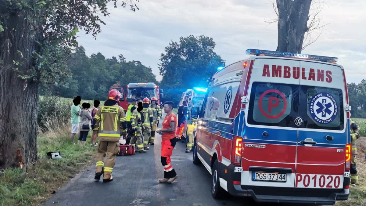 Zderzenie samochodu z drzewem na trasie Skoraszewice - Wilkonice