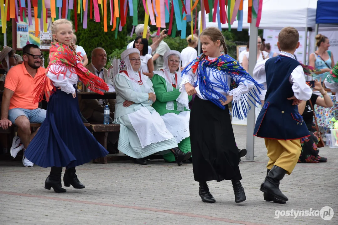 18. Prezentacje Zespołów Ludowych Wielkopolski w Borku Wlkp.