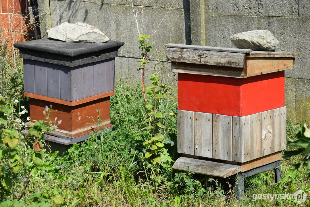 Warsztaty "Spotkanie z naturą" w Pracowni "Czarcie Żebro" w Lipiu