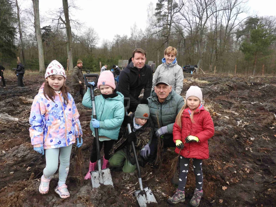 Krotoszyn sadzi „Las dla nas”. 900 dębów dla przyszłych pokoleń [ZDJĘCIA]