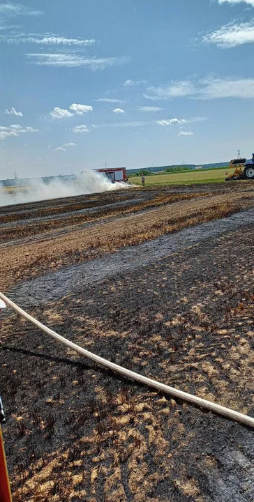 Pożar zboża na Głogówku i innych miejscowościach powiatu gostyńskiego