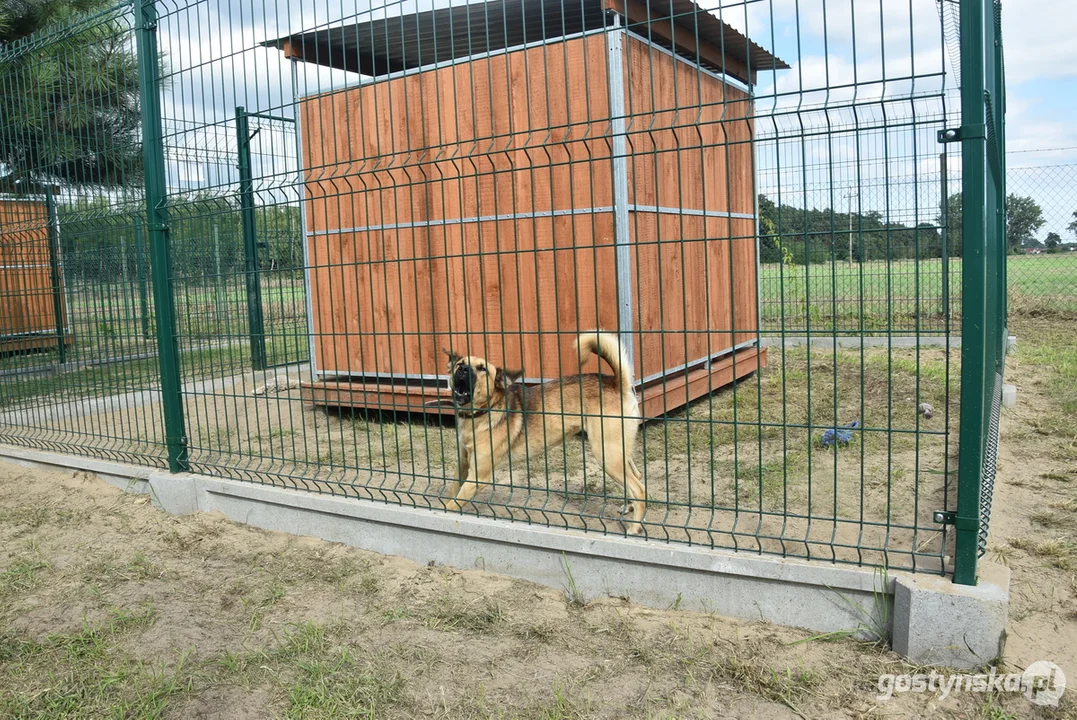 Rozbudowane przytulisko dla psów w Poniecu