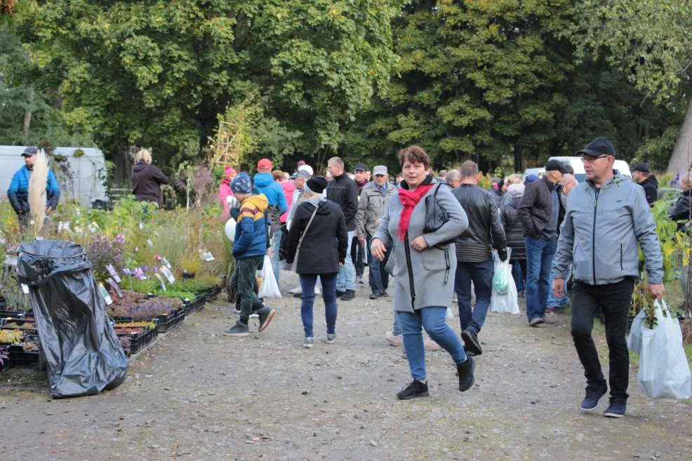 Wyróżnienie dla KGW w Witaszyczkach na targach w Marszewie