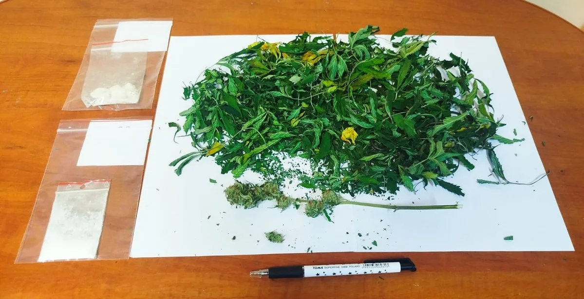 Zamiast ubrań w szafie miał... profesjonalną uprawę konopii. Wpadka nielegalnego „ogrodnika” - Zdjęcie główne