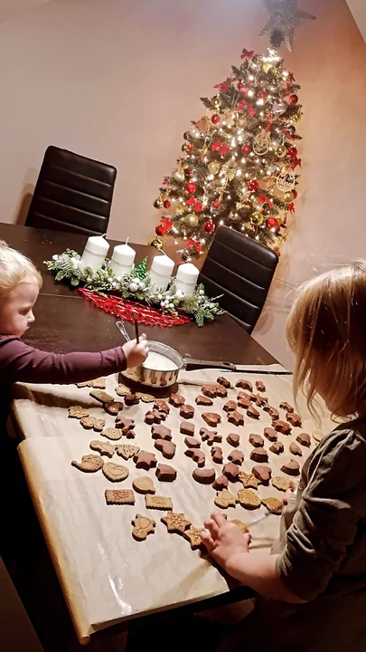 Choinki mieszkańców powiatu pleszewskiego