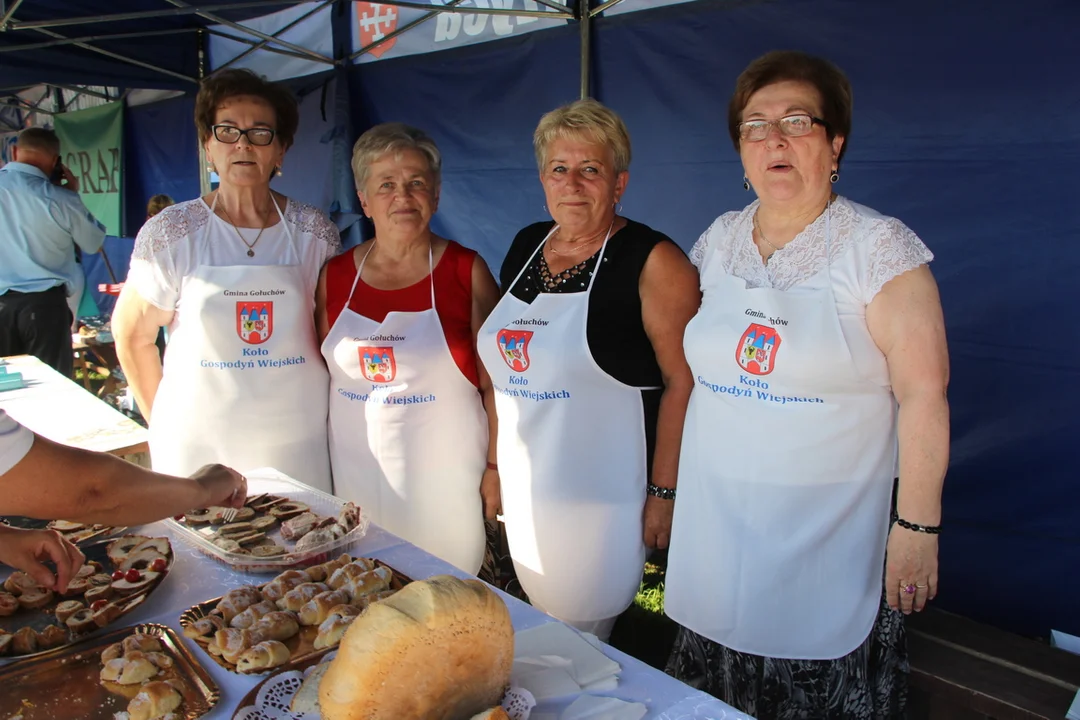 Dożynki Powiatu Pleszewskiego w Gizałkach