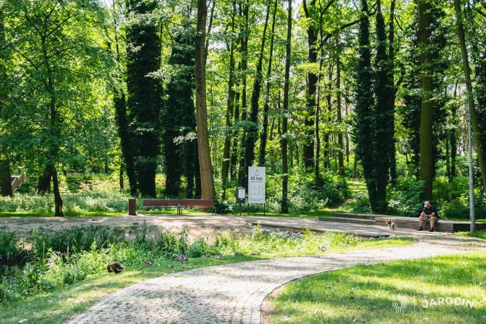 Lasek Szubianki w Jarocinie wyrózniony w konkursie Towarzystwa Urbanistów Polskich